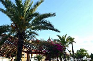 25 SANTA POLA  QUARTIER DES PECHEURS  OU EL CALVERIO (17)